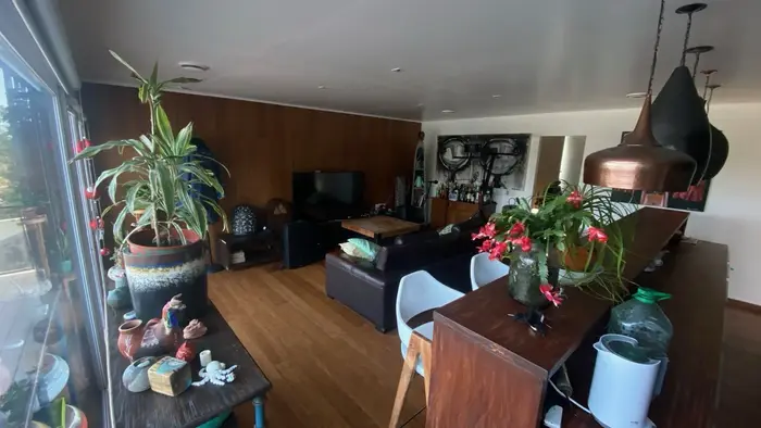 Living con vegetación